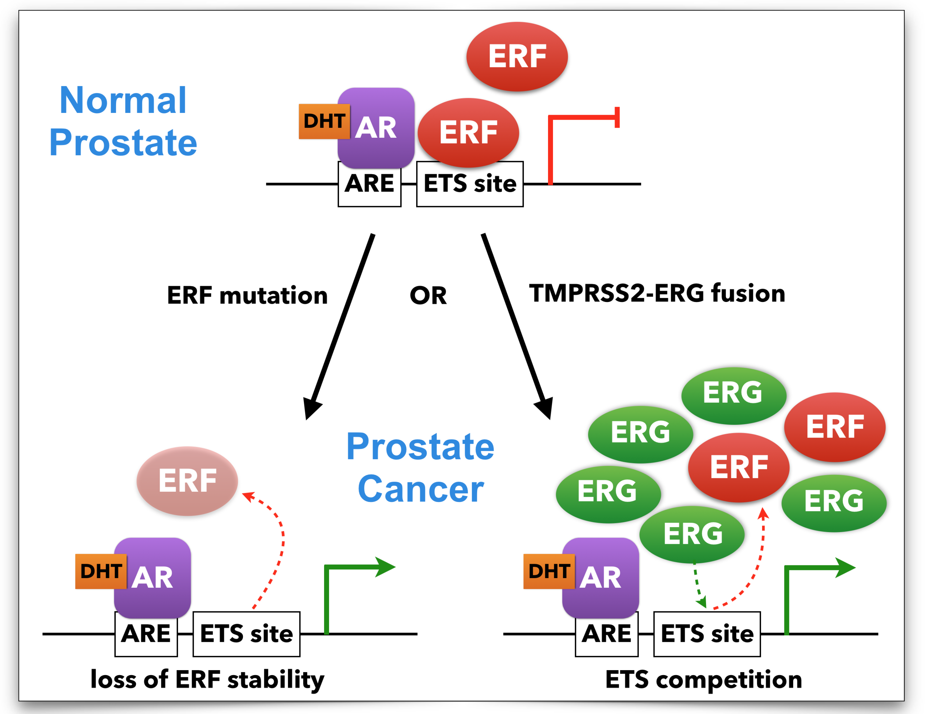 rohit bose lab ucsf 62